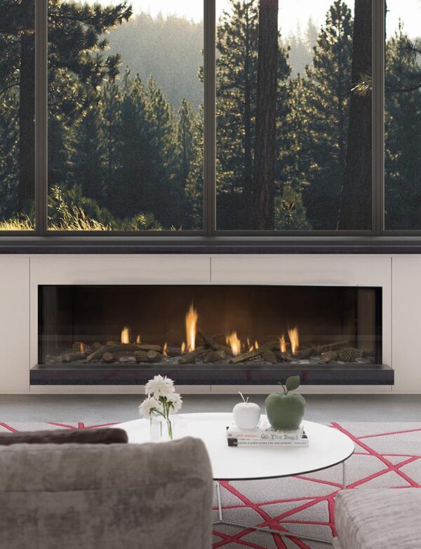 Escea DS1650 Single Sided Gas Fireplace